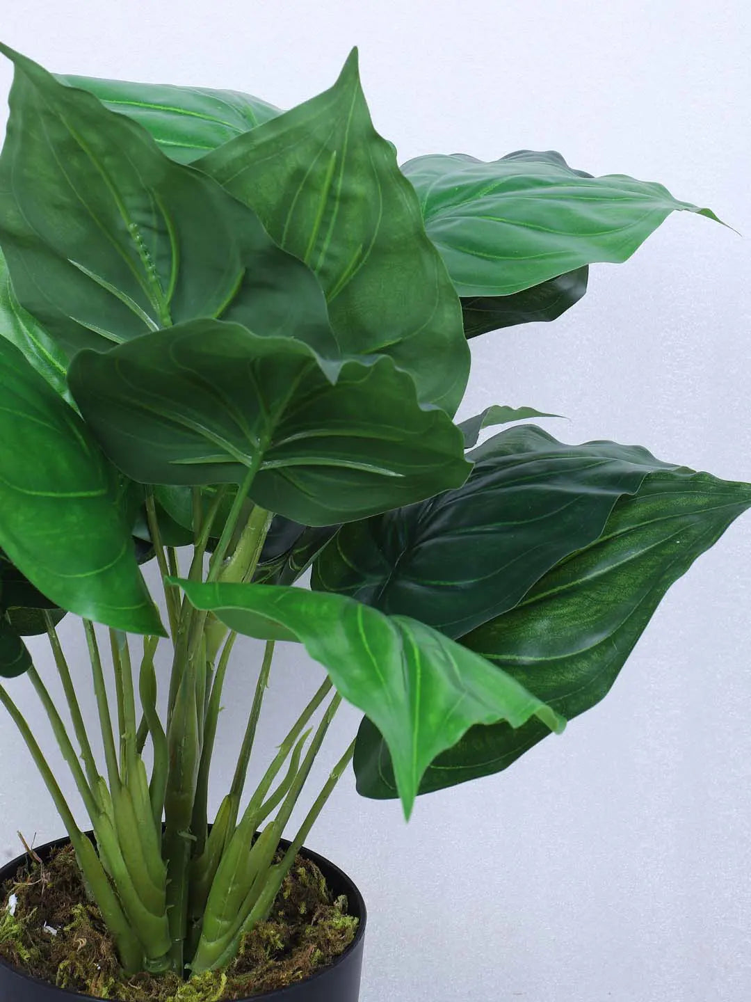 Artificial Miniature PVC Silk Betel Leaf Green Floor Plant with Big Leaves with Pot (55 cm Tall, Green)