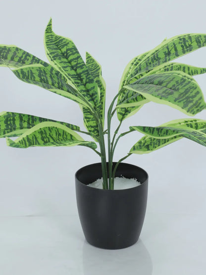 Artificial Green Snake Plant (12 Leaves with Basic Black Pot 45 Cm Tall)