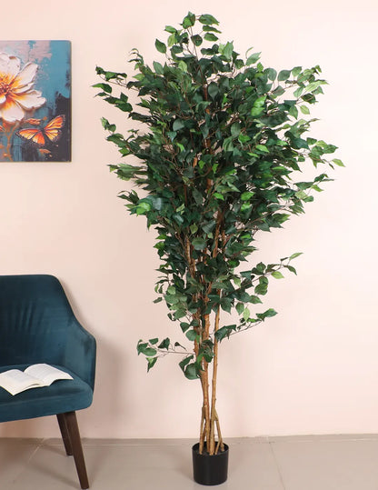 Artificial Ficus Palatial Plant Tree With Pot – 7 Feet