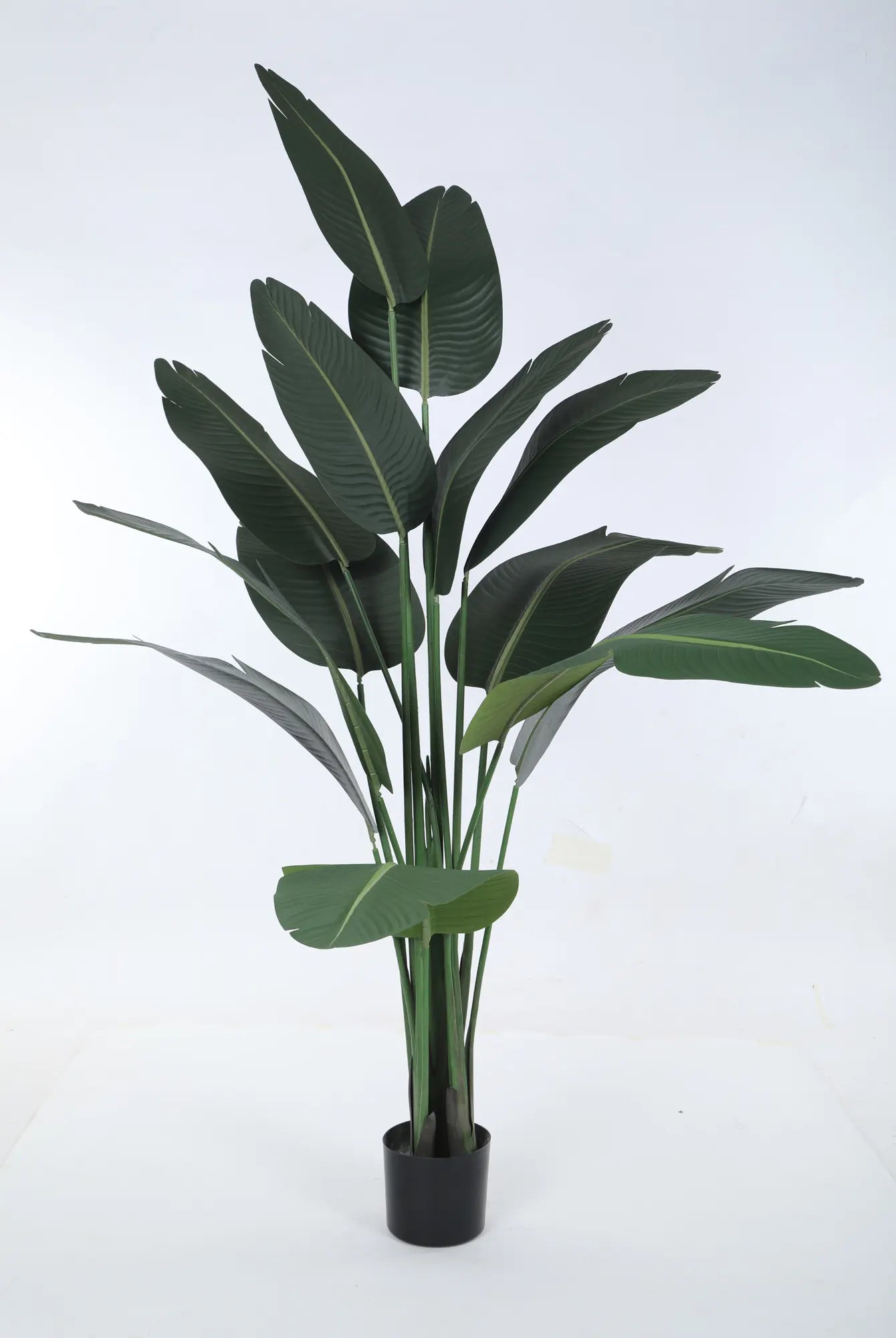 Artificial Cavendish Traveller Plant with Basic Black Pot - 6 Feet Tall, Dark Green Leaves