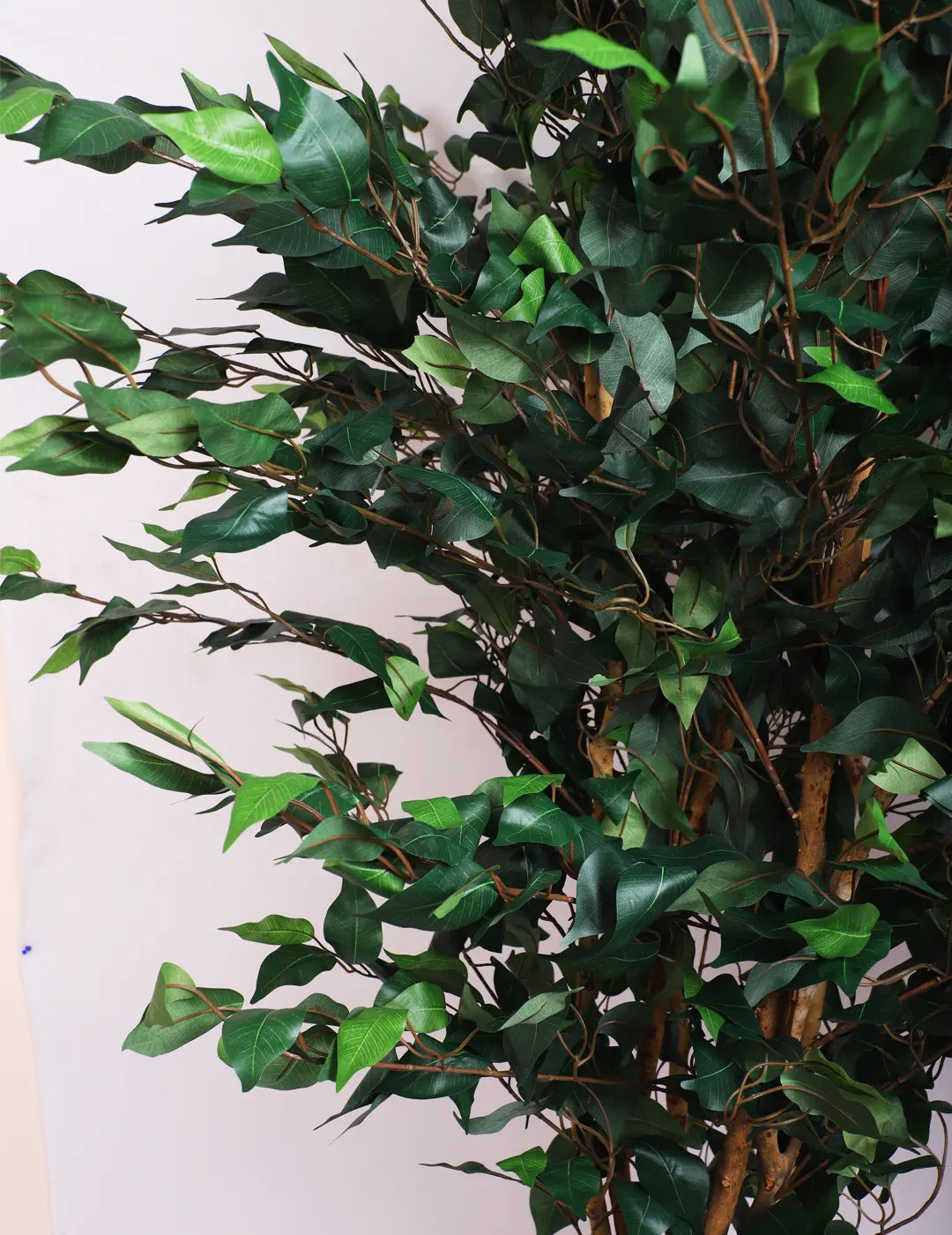 Artificial Ficus Palatial Plant Tree With Pot – 7 Feet