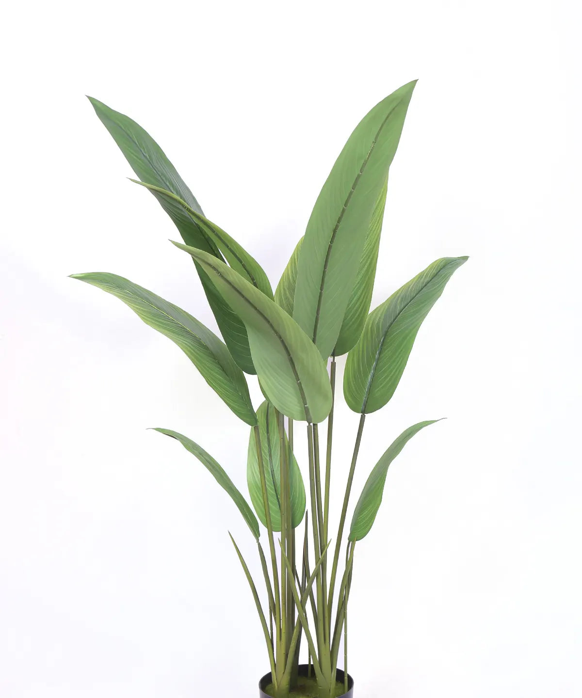 Artificial Birds of Paradise &amp; Banana Plant with Basic Black Pot - 120 cm Tall