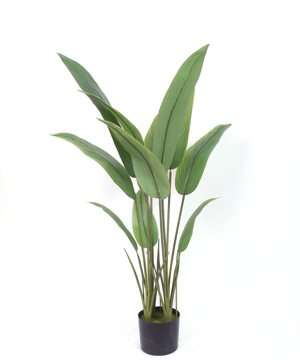 Artificial Birds of Paradise &amp; Banana Plant with Basic Black Pot - 120 cm Tall