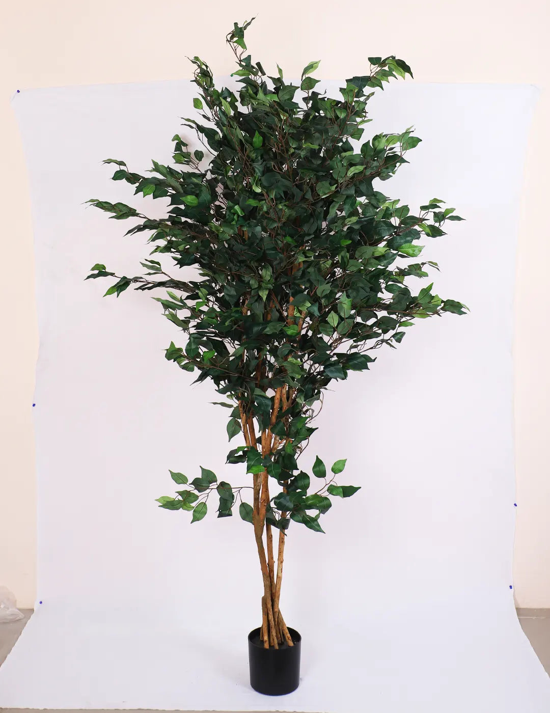 Artificial Ficus Palatial Plant Tree With Pot – 7 Feet
