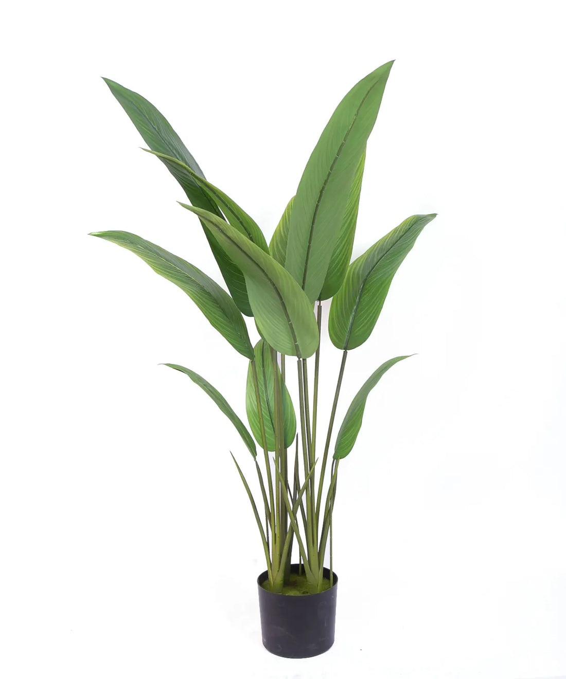 Artificial Birds of Paradise &amp; Banana Plant with Basic Black Pot - 120 cm Tall