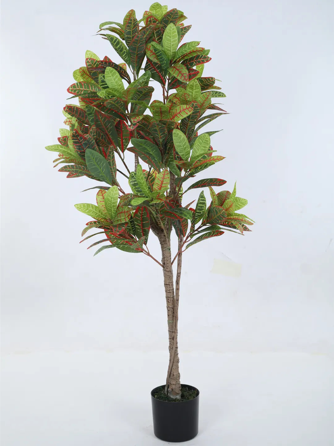 Artificial Multicolor Croton Grandiose Ficus Plant with Basic Black Pot - 5 Feet