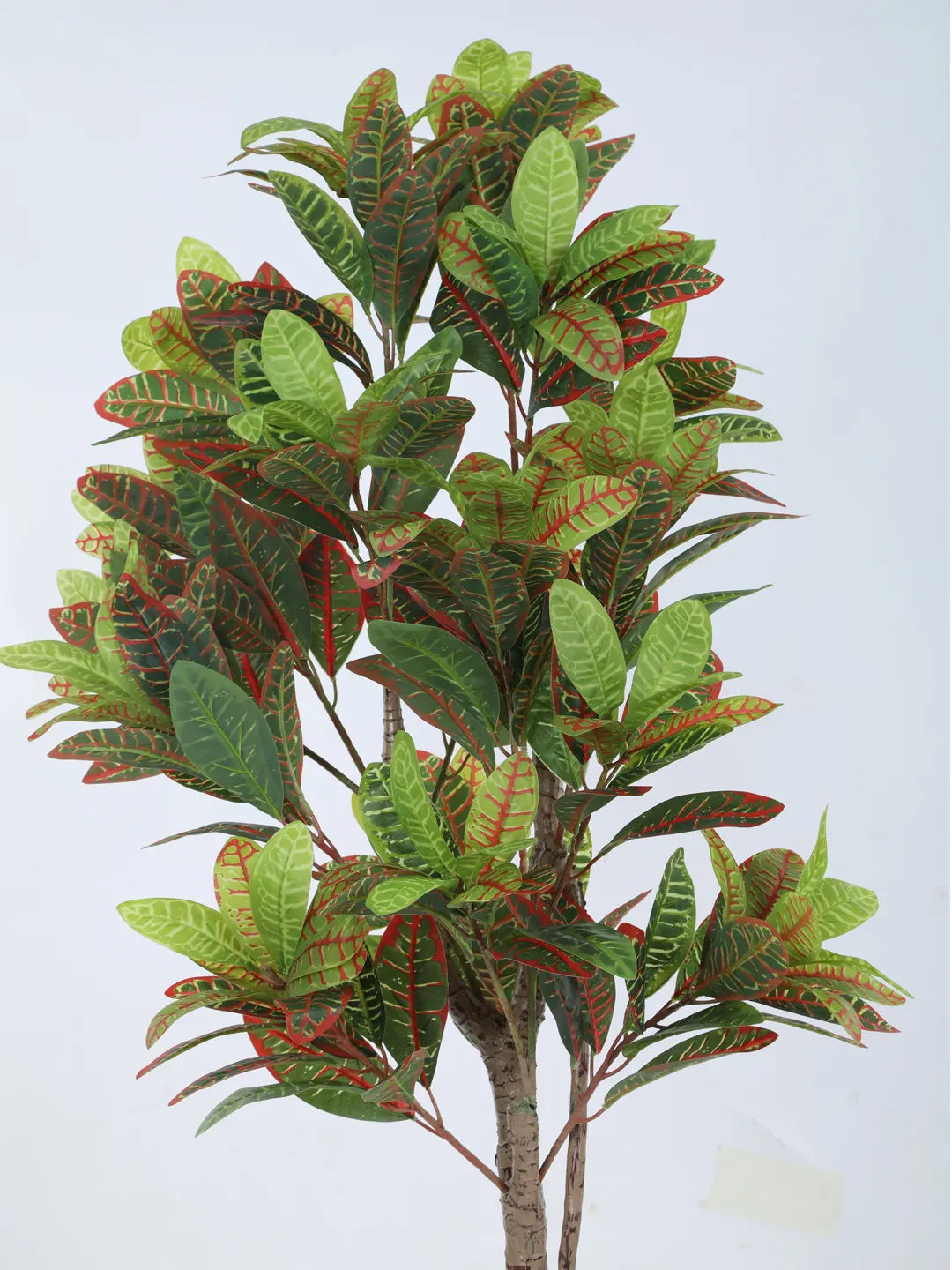 Artificial Multicolor Croton Grandiose Ficus Plant with Basic Black Pot - 5 Feet
