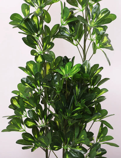 Artificial Midas Variegated Schefflera Plant with Basic Black Pot - 4 Feet