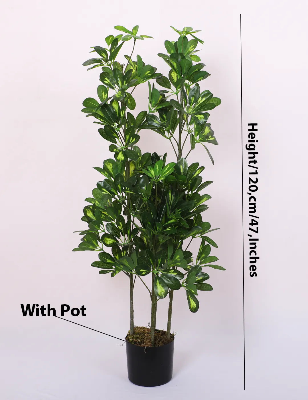Artificial Midas Variegated Schefflera Plant with Basic Black Pot - 4 Feet