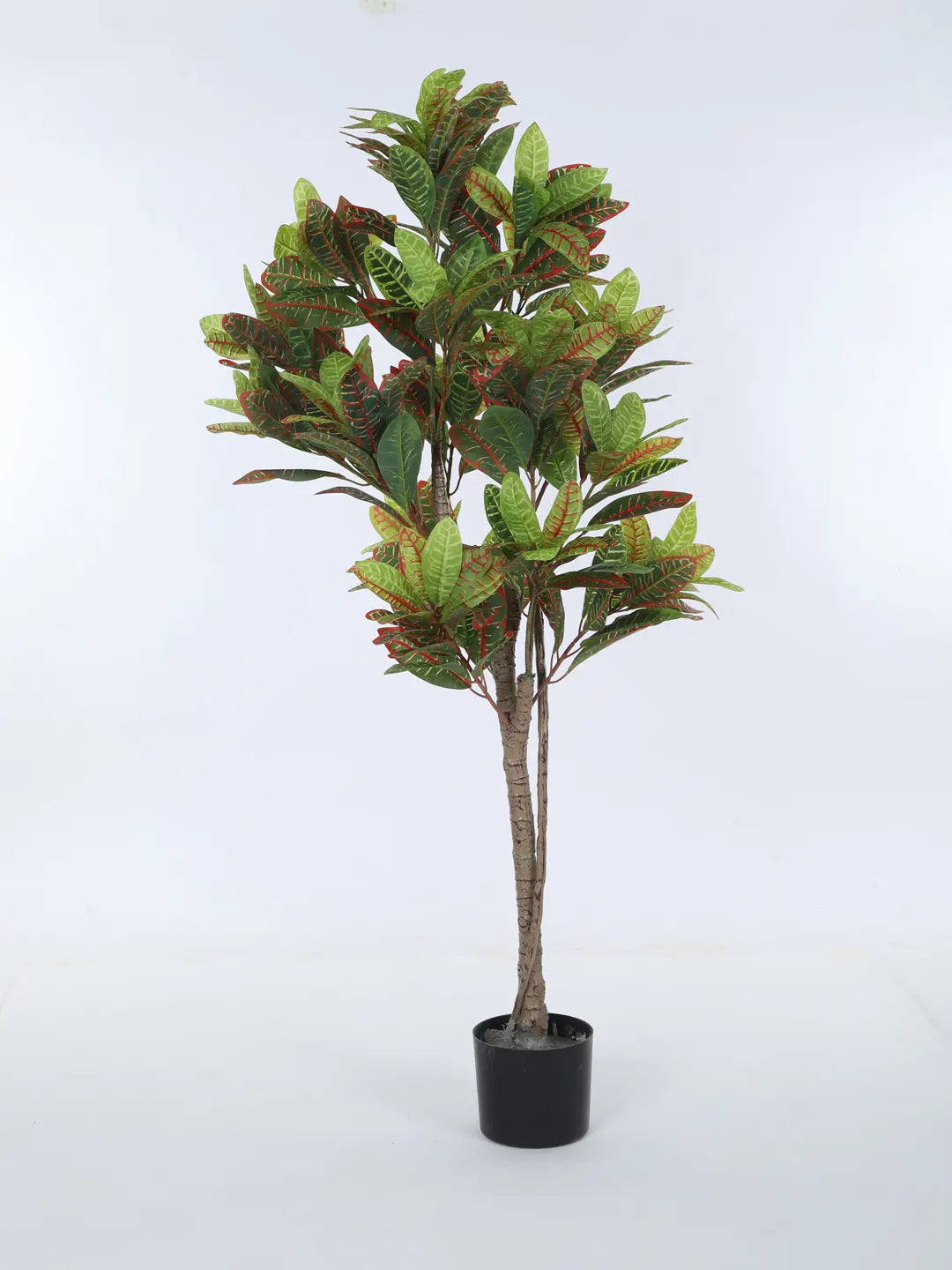 Artificial Multicolor Croton Grandiose Ficus Plant with Basic Black Pot - 5 Feet
