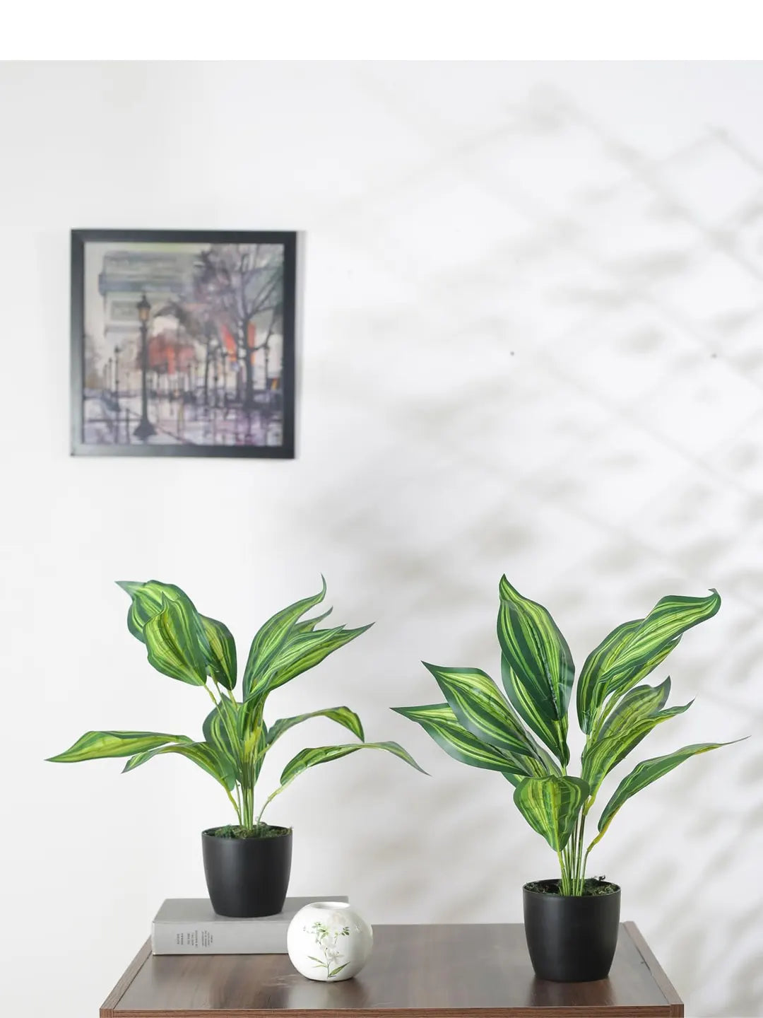 Artificial Green Cast-Iron Plant (12 Leaves with Basic Black Pot 45 Cm Tall Pack of 2)