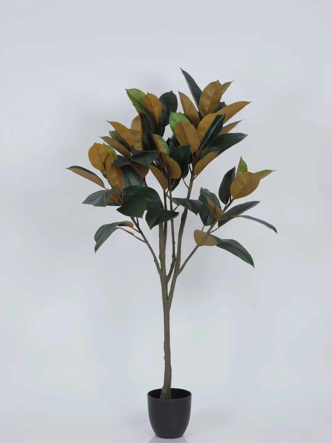 Artificial Magnolia Leaf Plant with Basic Black Pot - 140 cm Tall