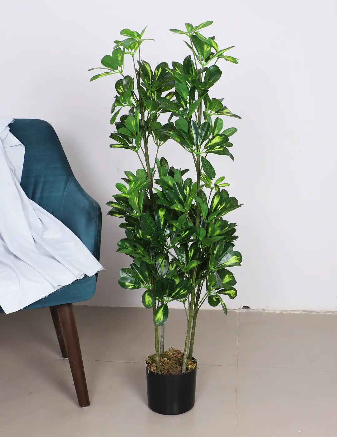 Artificial Midas Variegated Schefflera Plant with Basic Black Pot - 4 Feet
