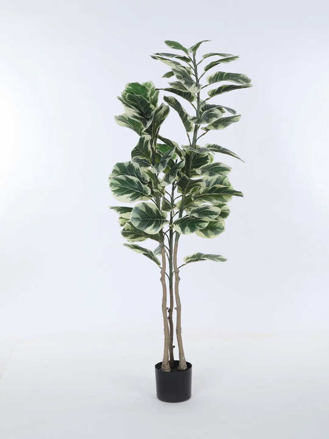 Artificial Variegated Fiddle Leaf Fig Plant with Basic Black Pot - 5 Feet tall