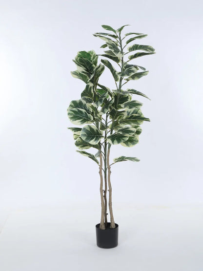 Artificial Variegated Fiddle Leaf Fig Plant with Basic Black Pot - 5 Feet tall