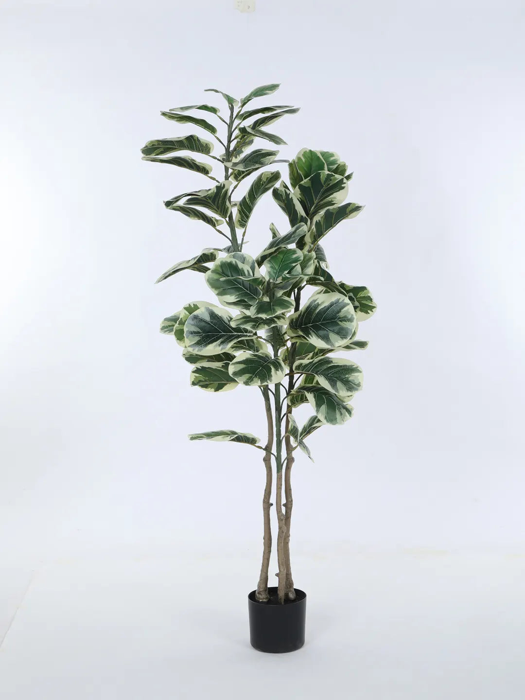 Artificial Variegated Fiddle Leaf Fig Plant with Basic Black Pot - 5 Feet tall