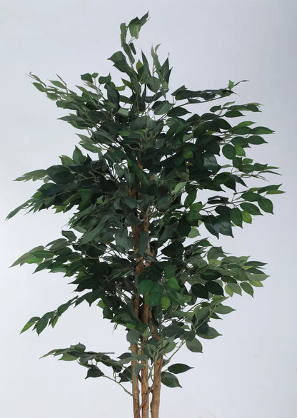 Artificial Green Dried Ficus Plant with Basic Black Pot - 6 Feet Tall Green Leaves