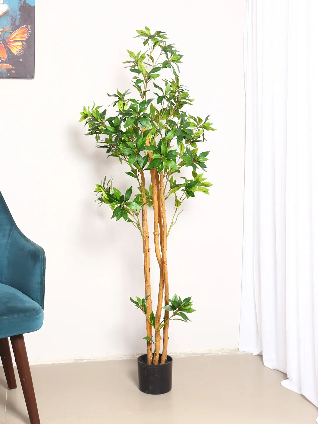 Artificial Midas Ruscus Lush Plant with Basic Black Pot - 5 Feet