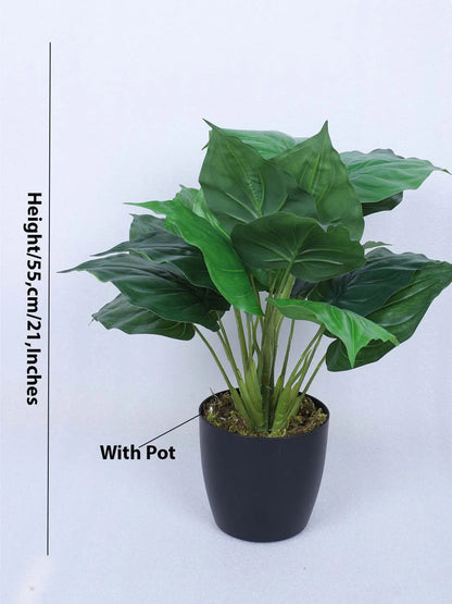 Artificial Miniature PVC Silk Betel Leaf Green Floor Plant with Big Leaves with Pot (55 cm Tall, Green)