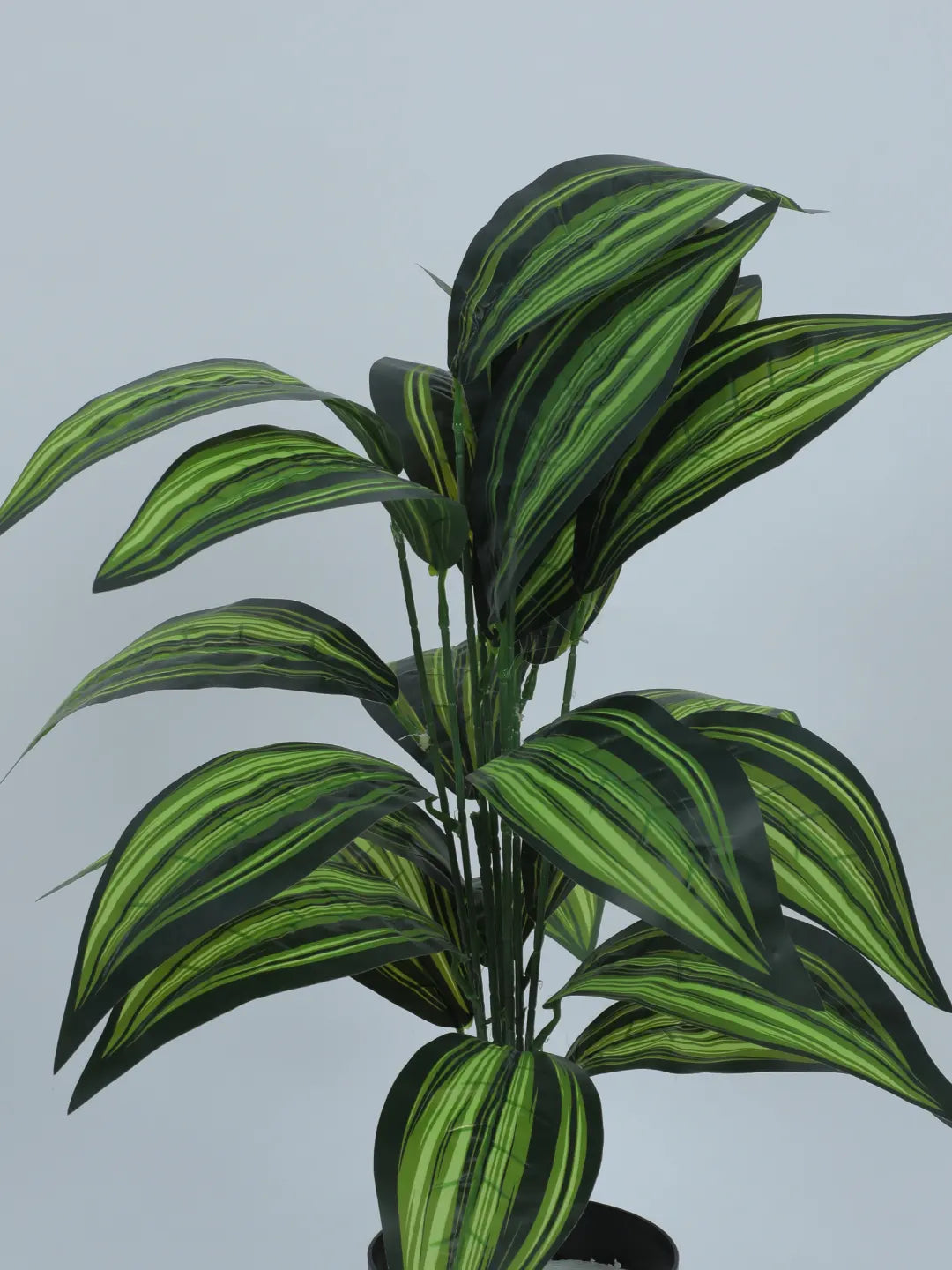Artificial Green Dracaena Plants for Interior Decor/Home Decor/Office Decor|26 Leaves (with Pot, 70 cm Tall)