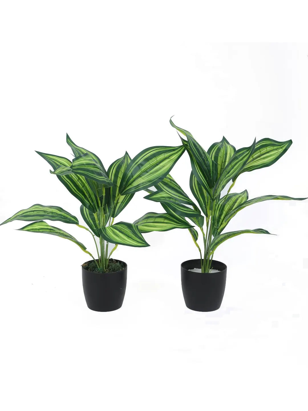Artificial Green Cast-Iron Plant (12 Leaves with Basic Black Pot 45 Cm Tall Pack of 2)