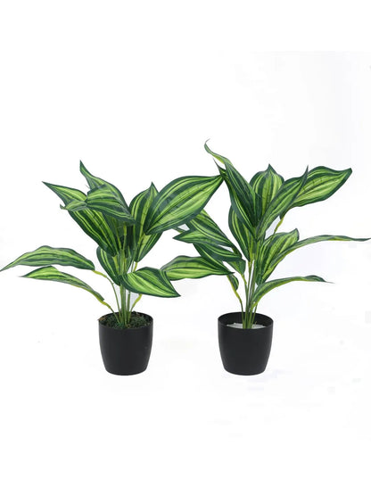 Artificial Green Cast-Iron Plant (12 Leaves with Basic Black Pot 45 Cm Tall Pack of 2)