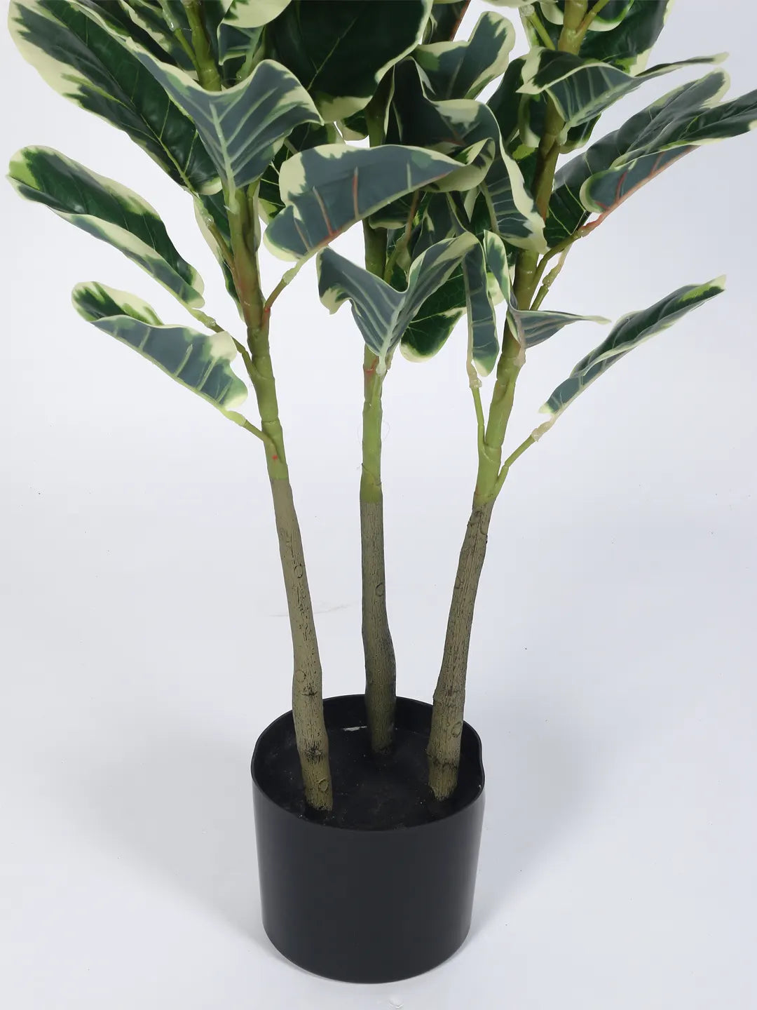 Artificial Variegated Fiddle Leaf Fig Plant with Basic Black Pot - 5 Feet tall
