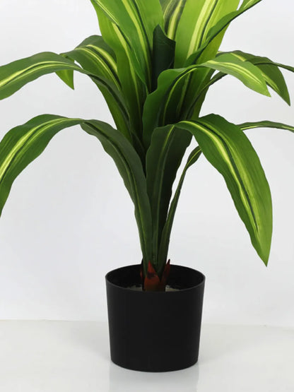 Artificial Variegated Dracaena Plant - 2.4 Feet - With Pot