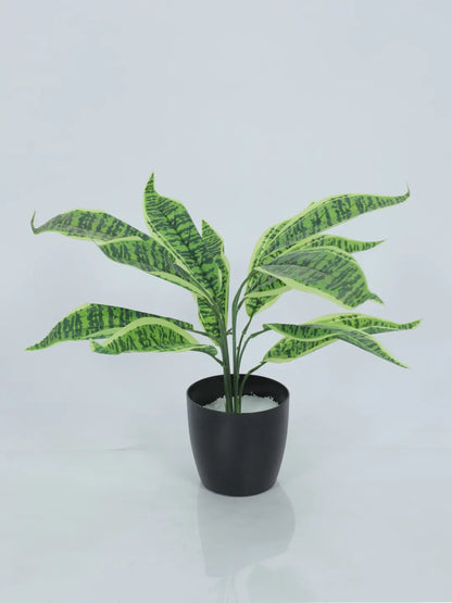 Artificial Green Snake Plant (12 Leaves with Basic Black Pot 45 Cm Tall)