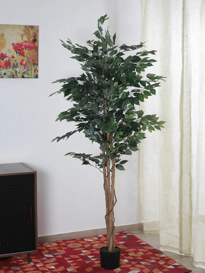 Artificial Green Dried Ficus Plant with Basic Black Pot - 6 Feet Tall Green Leaves