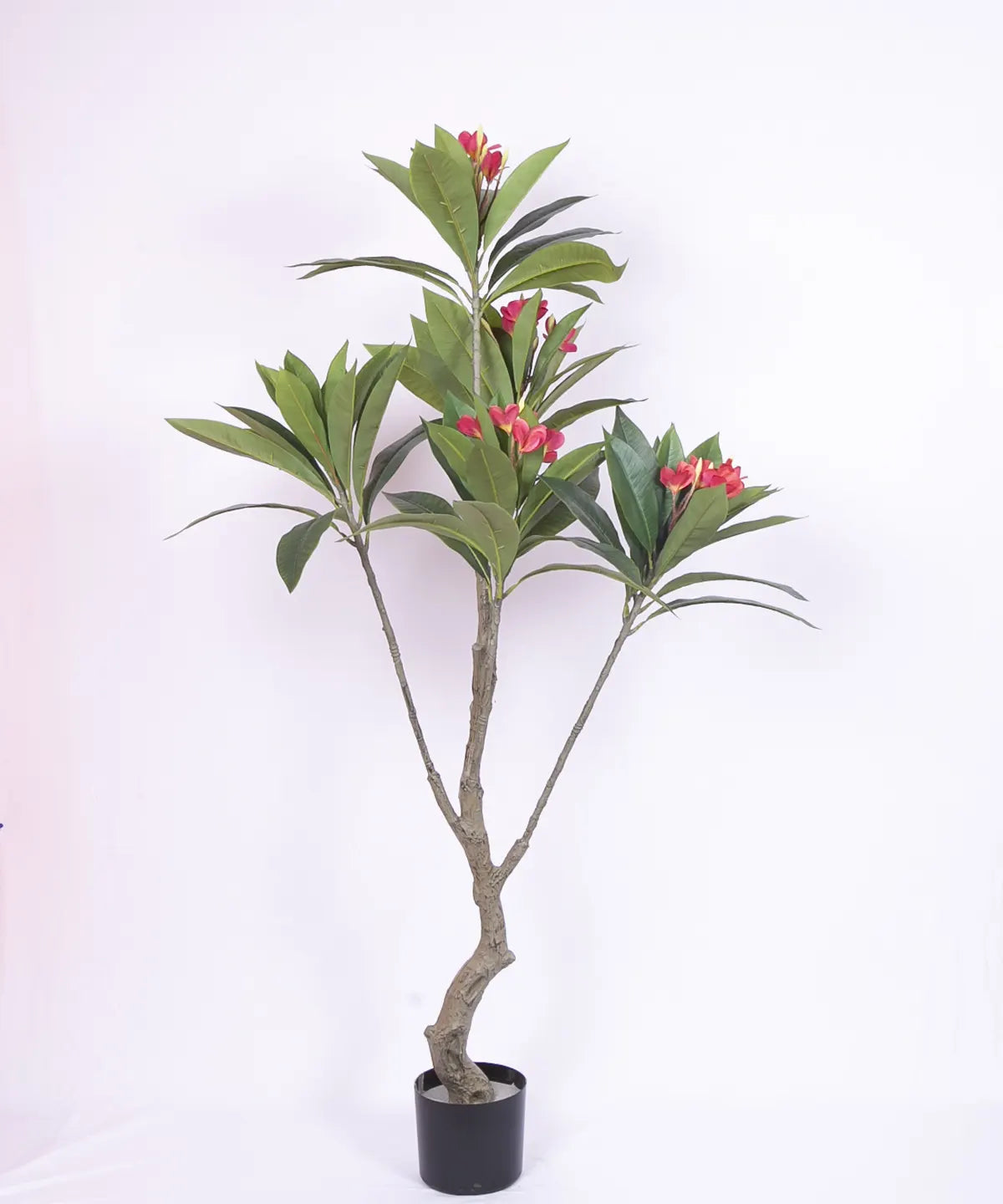 Artificial Magnolia Leaf Flowers Plant with Basic Black Pot - 150 cm Tall, Pink