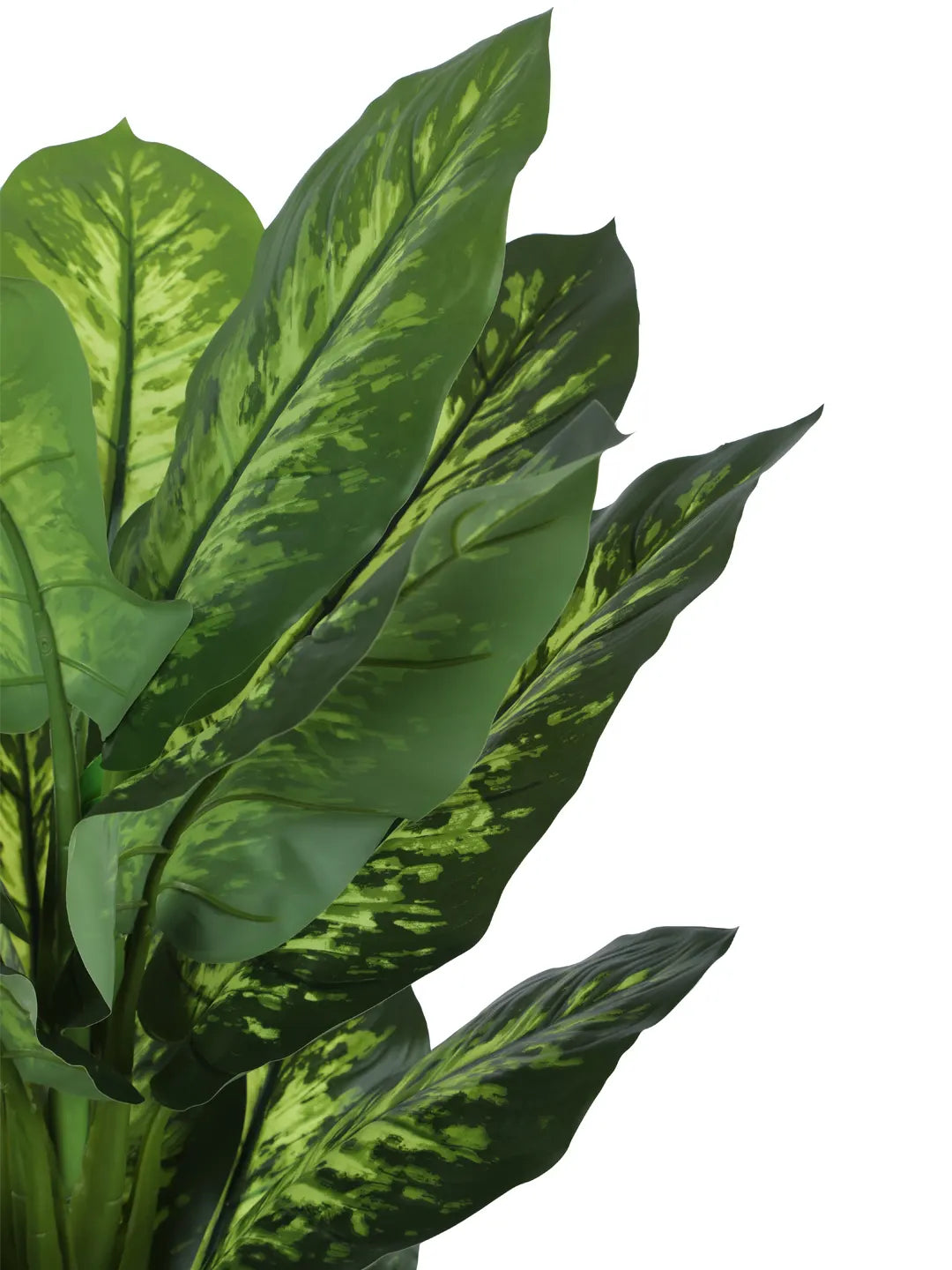 Artificial Evergreen Dieffenbachia Plant with Basic Black Pot - 4.5 Feet Tall, Dark/Green