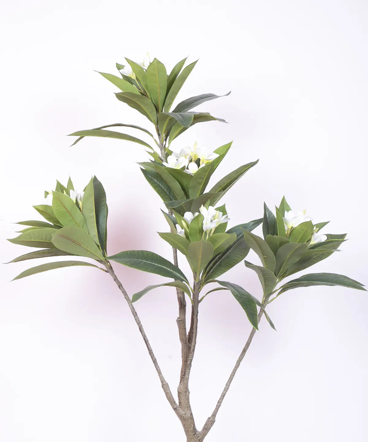 Artificial Magnolia Leaf Flowers Plant with Basic Black Pot - 150 cm Tall, White