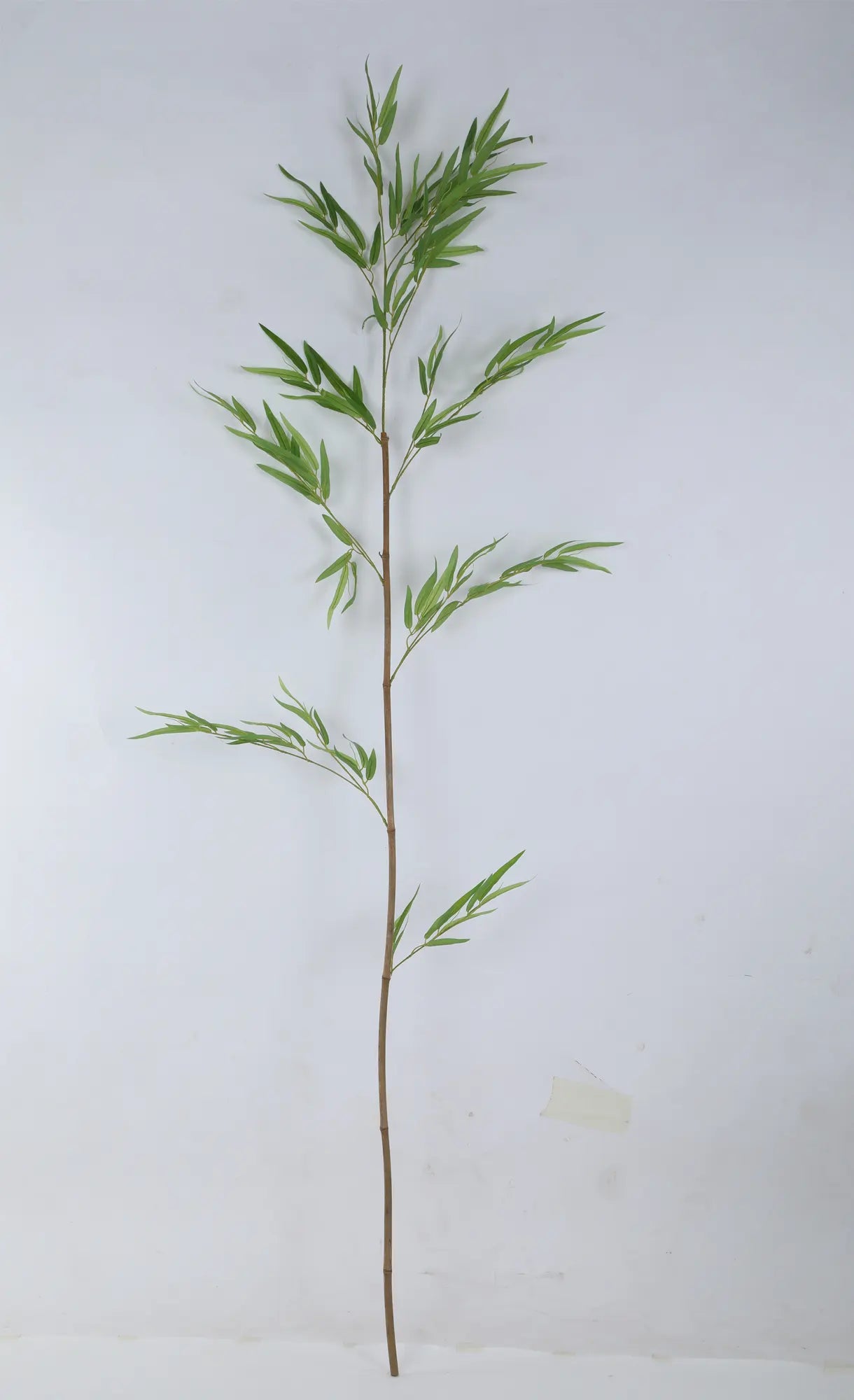 Artificial Evergreen Single Stick Bamboo Bliss Plant - 180 cm Tall, Green