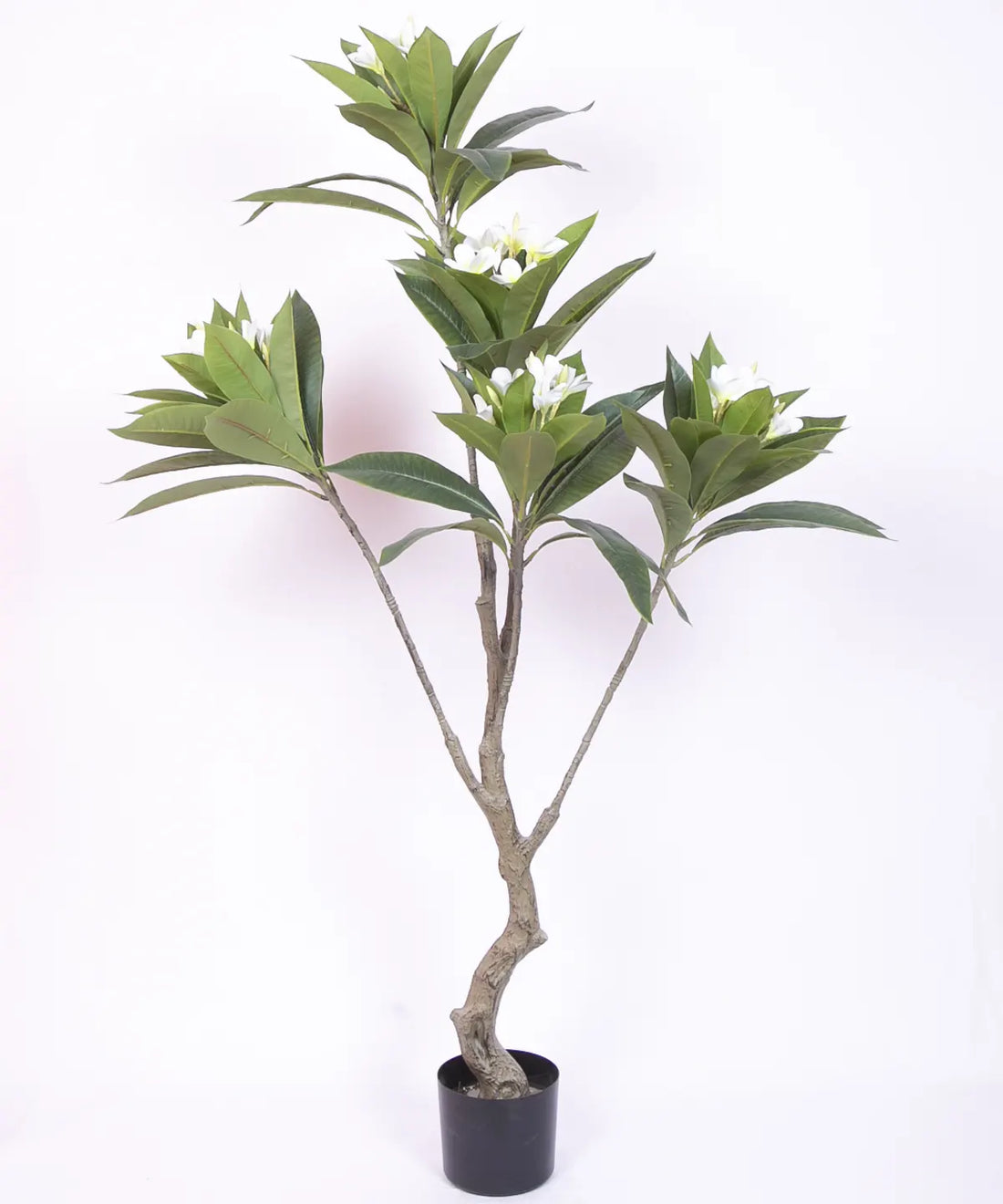 Artificial Magnolia Leaf Flowers Plant with Basic Black Pot - 150 cm Tall, White