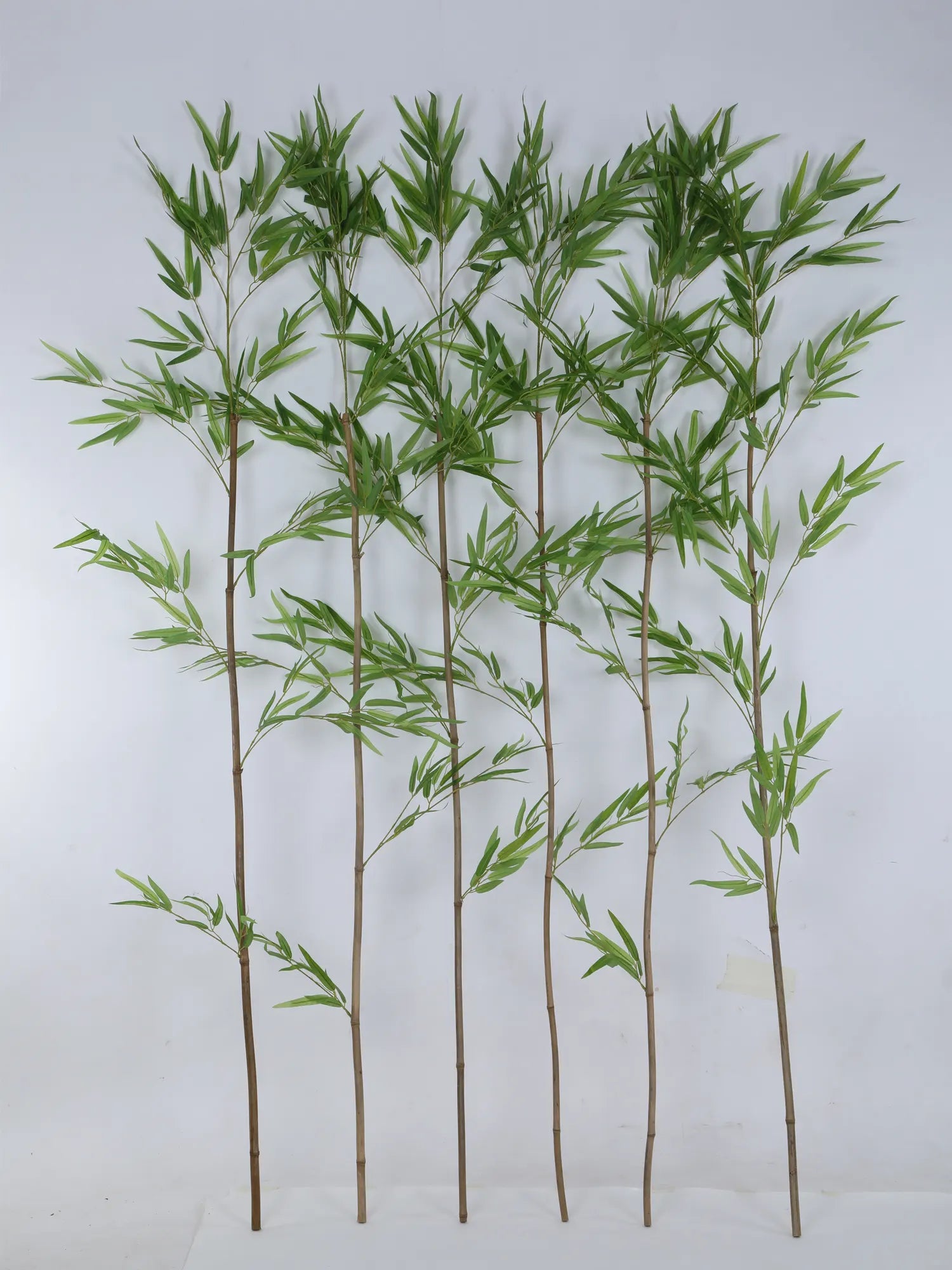 Artificial Evergreen Single Stick Bamboo Bliss Plant - 180 cm Tall, Green