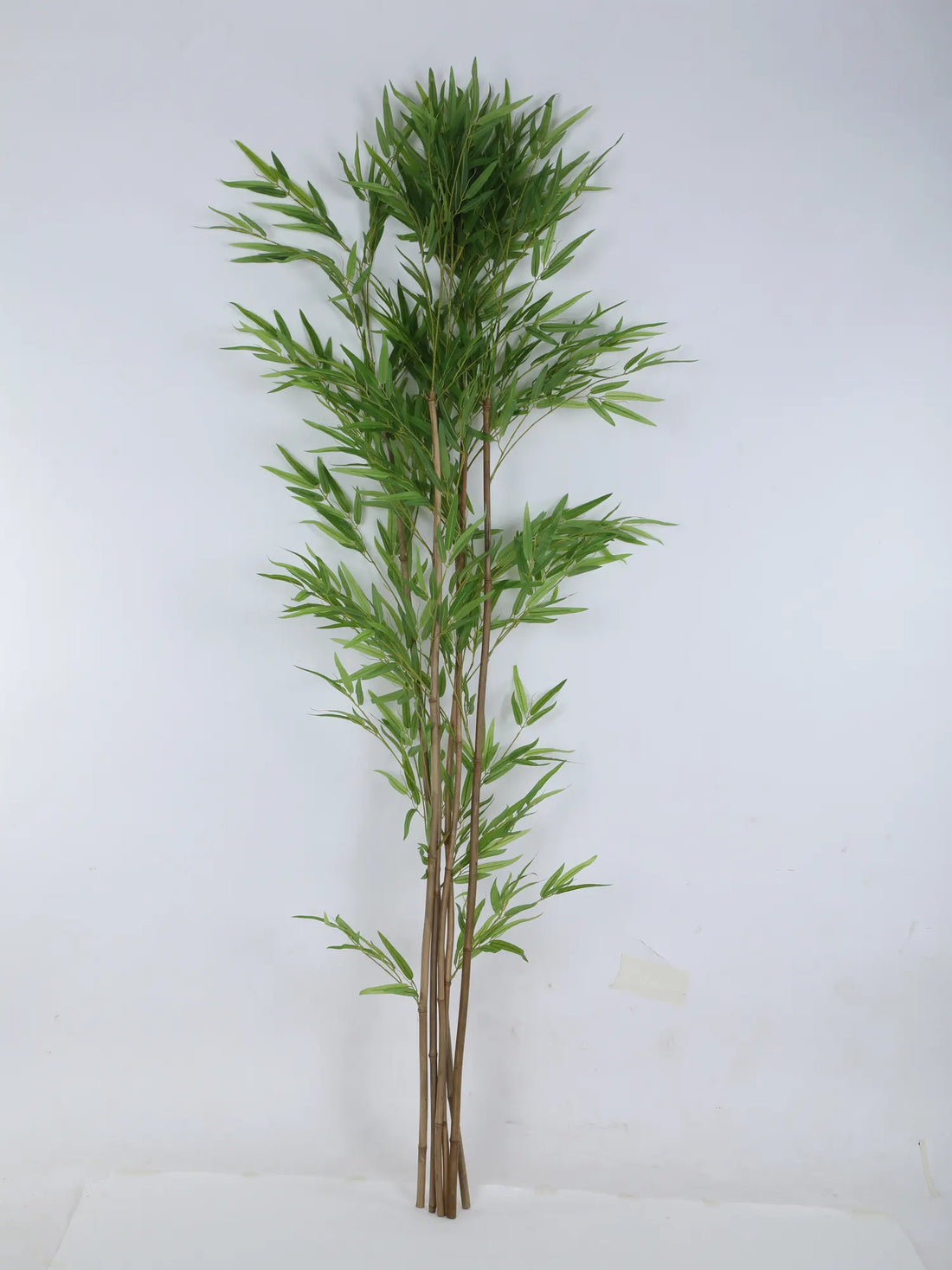 Artificial Evergreen Single Stick Bamboo Bliss Plant - 180 cm Tall, Green