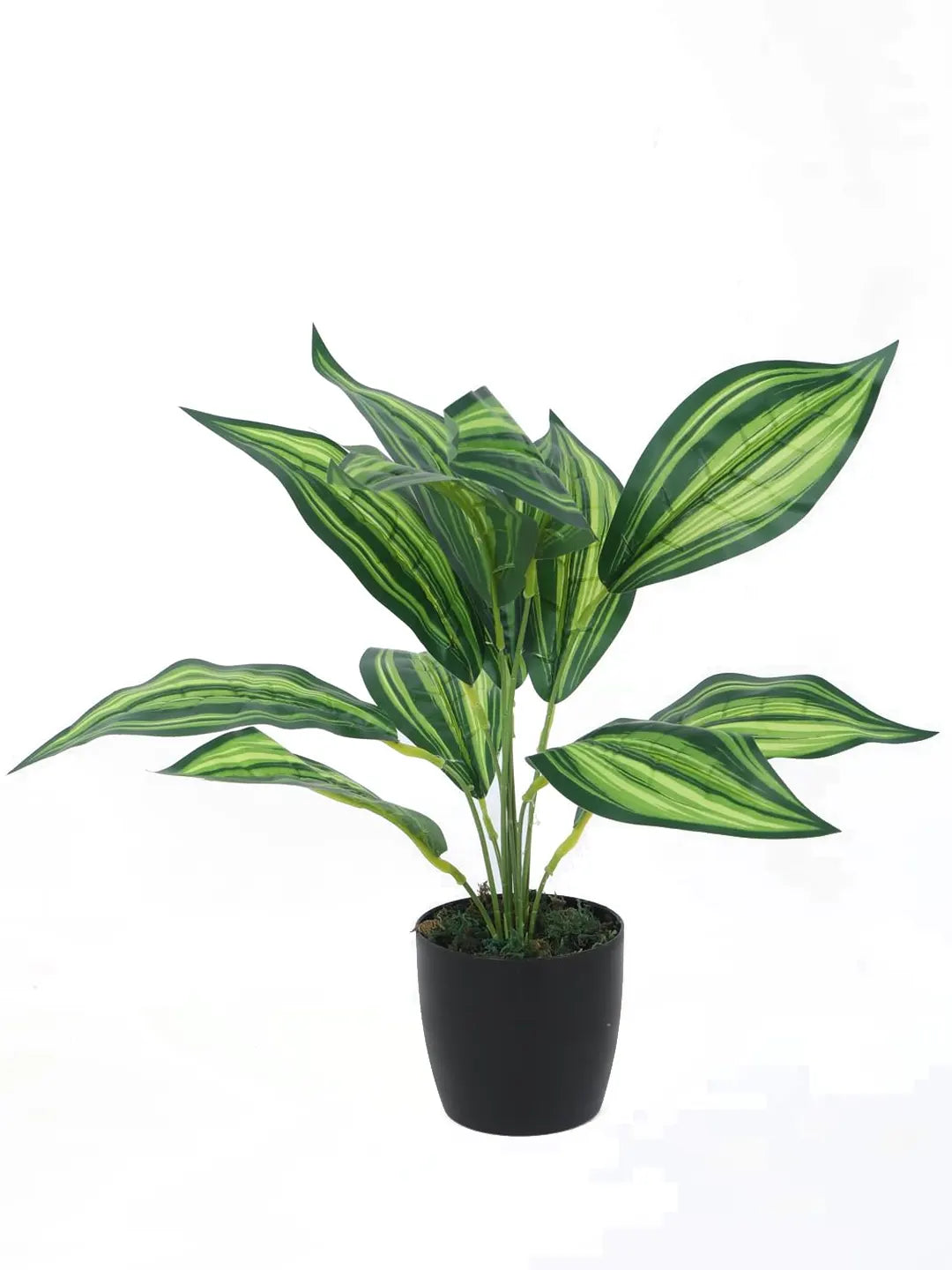 Artificial Green Cast-Iron Plant (12 Leaves with Basic Black Pot 45 Cm Tall Pack of 2)