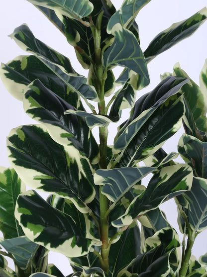 Artificial Variegated Fiddle Leaf Fig Plant with Basic Black Pot - 5 Feet tall