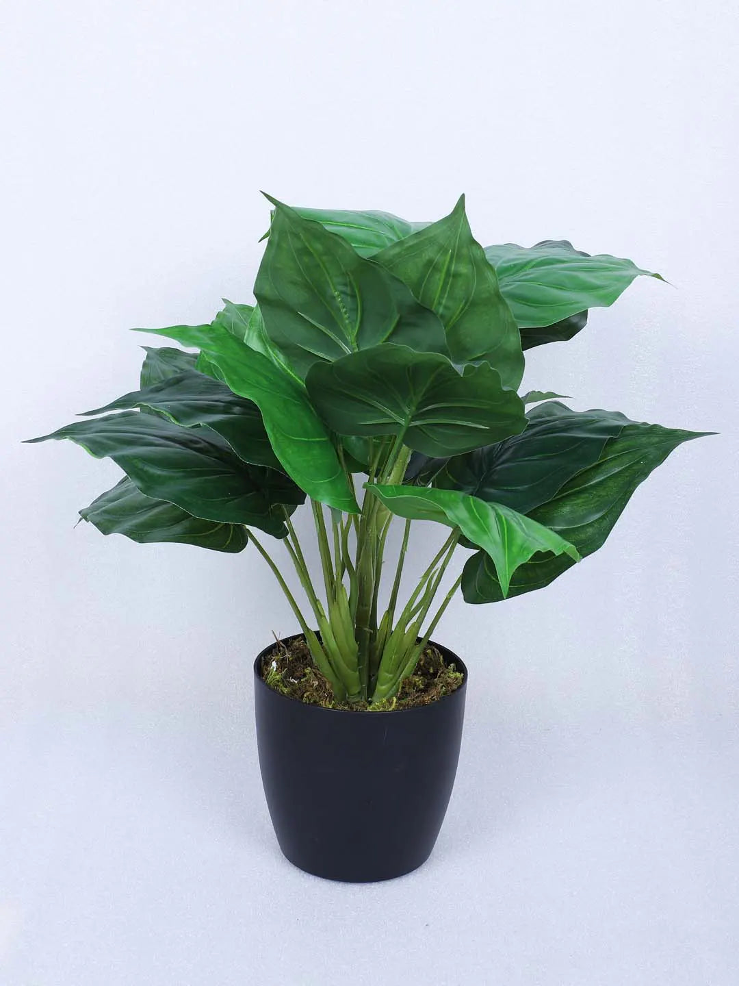 Artificial Miniature PVC Silk Betel Leaf Green Floor Plant with Big Leaves with Pot (55 cm Tall, Green)