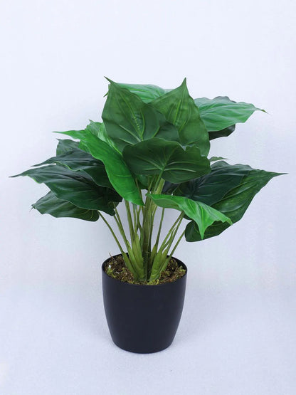 Artificial Miniature PVC Silk Betel Leaf Green Floor Plant with Big Leaves with Pot (55 cm Tall, Green)
