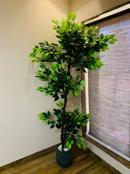 Artificial Green Dried Ficus Plant with Basic Black Pot - 6 Feet Tall Green Leaves