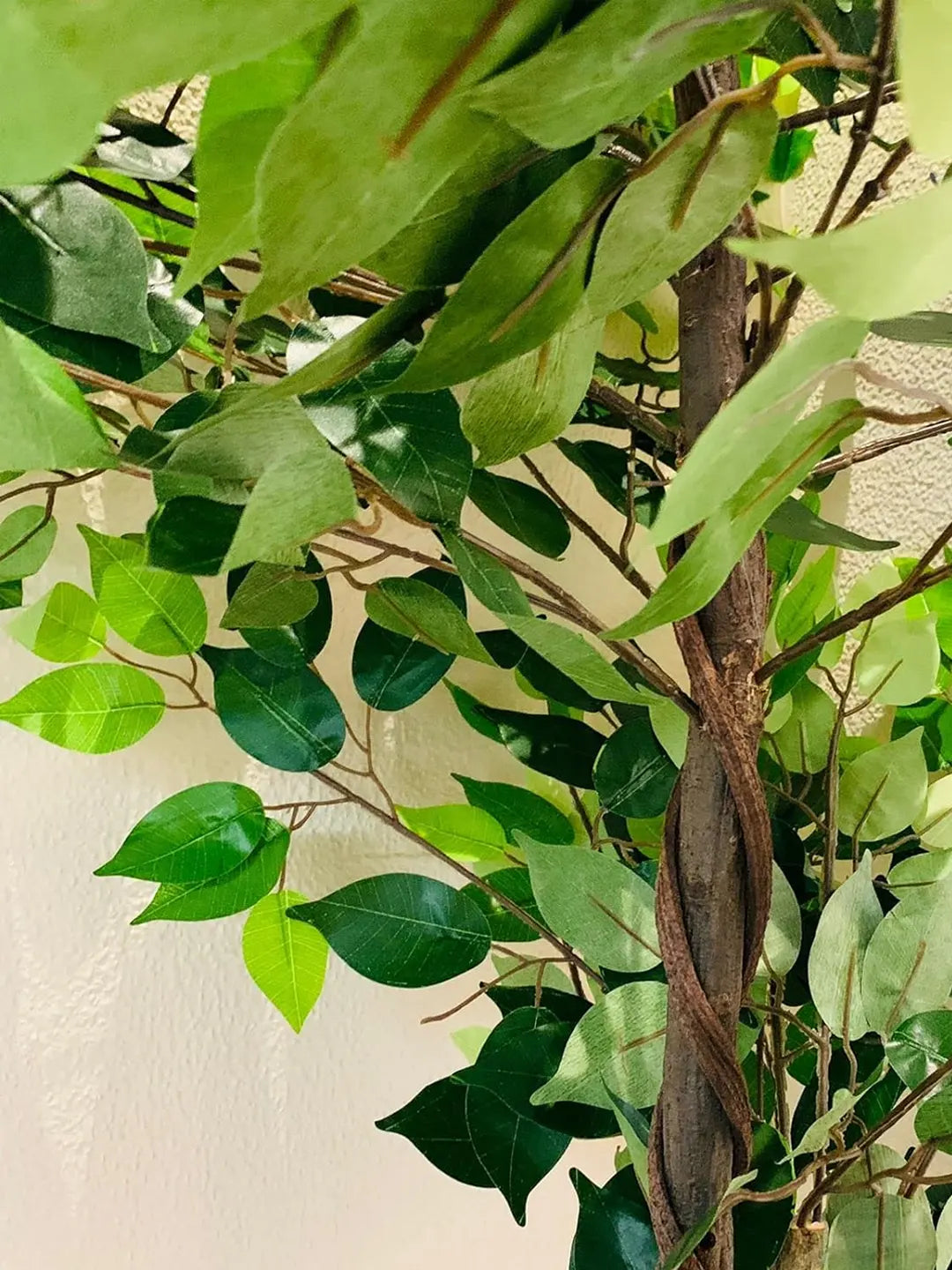 Artificial Green Dried Ficus Plant with Basic Black Pot - 6 Feet Tall Green Leaves
