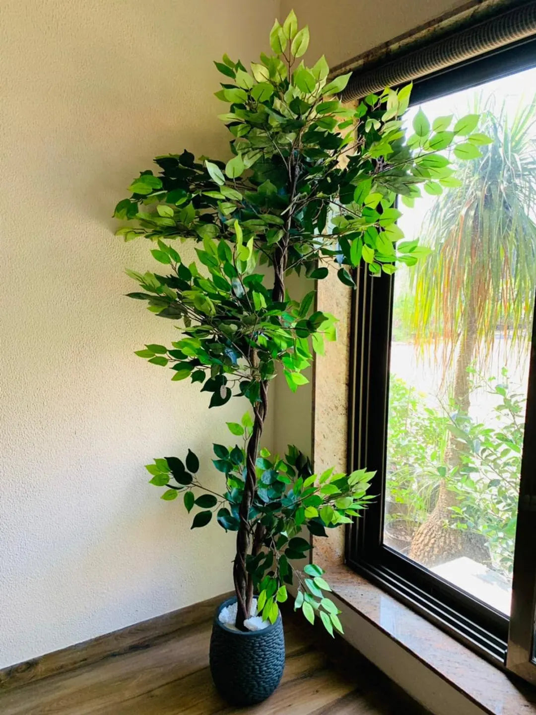 Artificial Green Dried Ficus Plant with Basic Black Pot - 6 Feet Tall Green Leaves