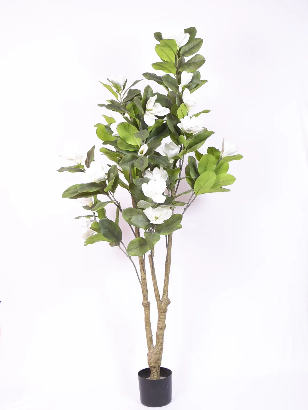 Artificial Magnolia Leaf Flowers Plant with Basic Black Pot - 180 cm Tall, White