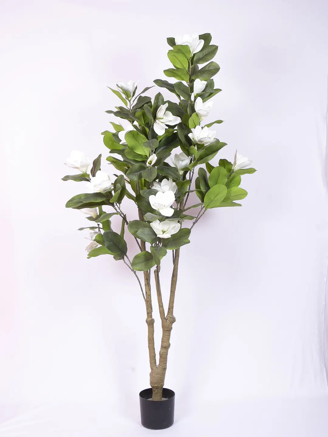Artificial Magnolia Leaf Flowers Plant with Basic Black Pot - 180 cm Tall, White