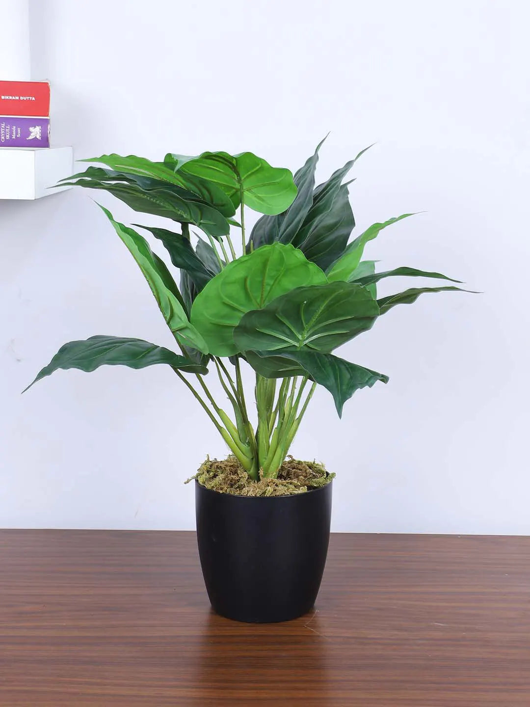 Artificial Miniature PVC Silk Betel Leaf Green Floor Plant with Big Leaves with Pot (55 cm Tall, Green)