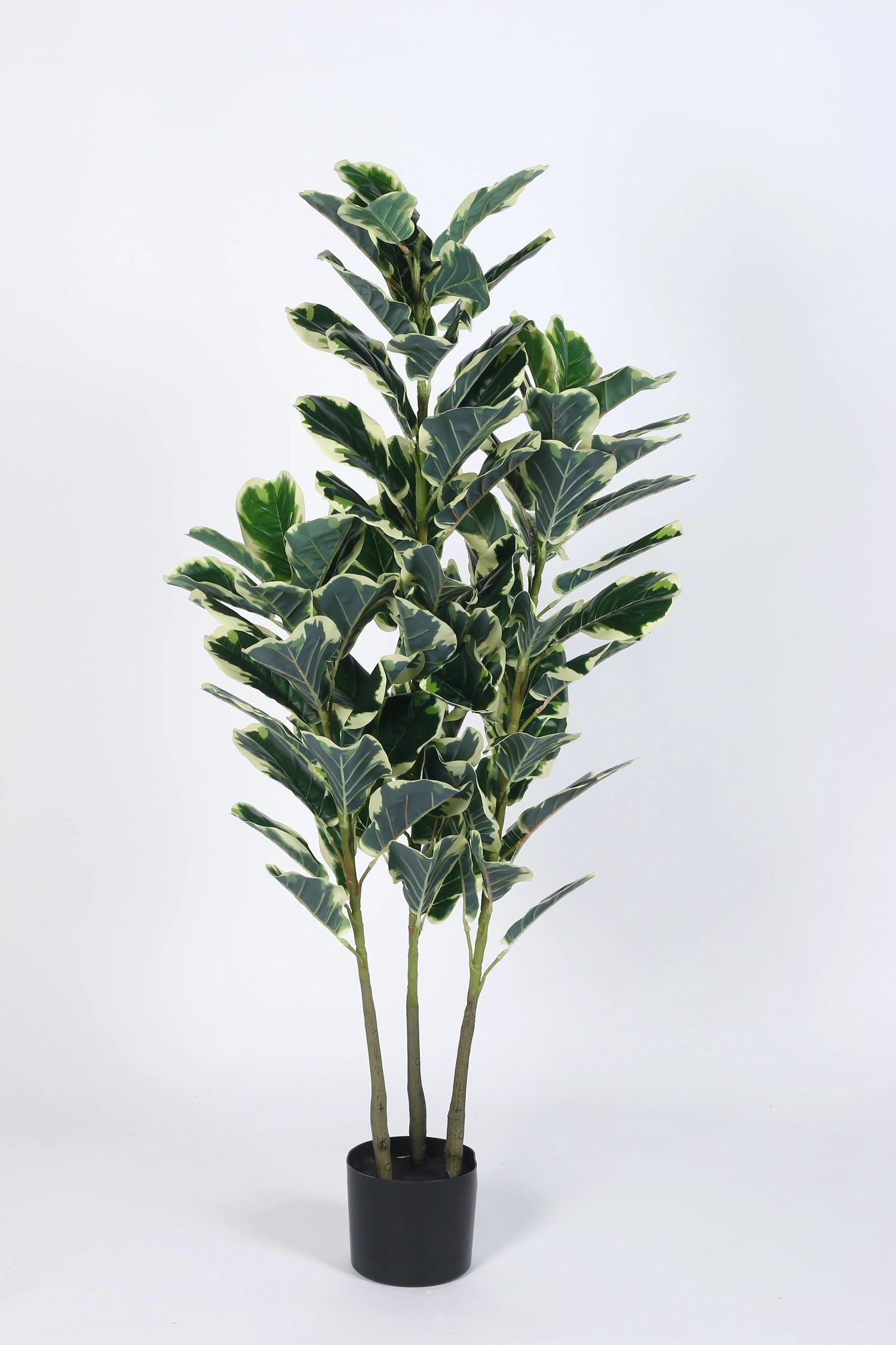 Artificial Variegated Fiddle Leaf Fig Plant with Basic Black Pot - 5 Feet tall