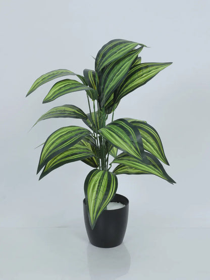 Artificial Green Dracaena Plants for Interior Decor/Home Decor/Office Decor|26 Leaves (with Pot, 70 cm Tall)
