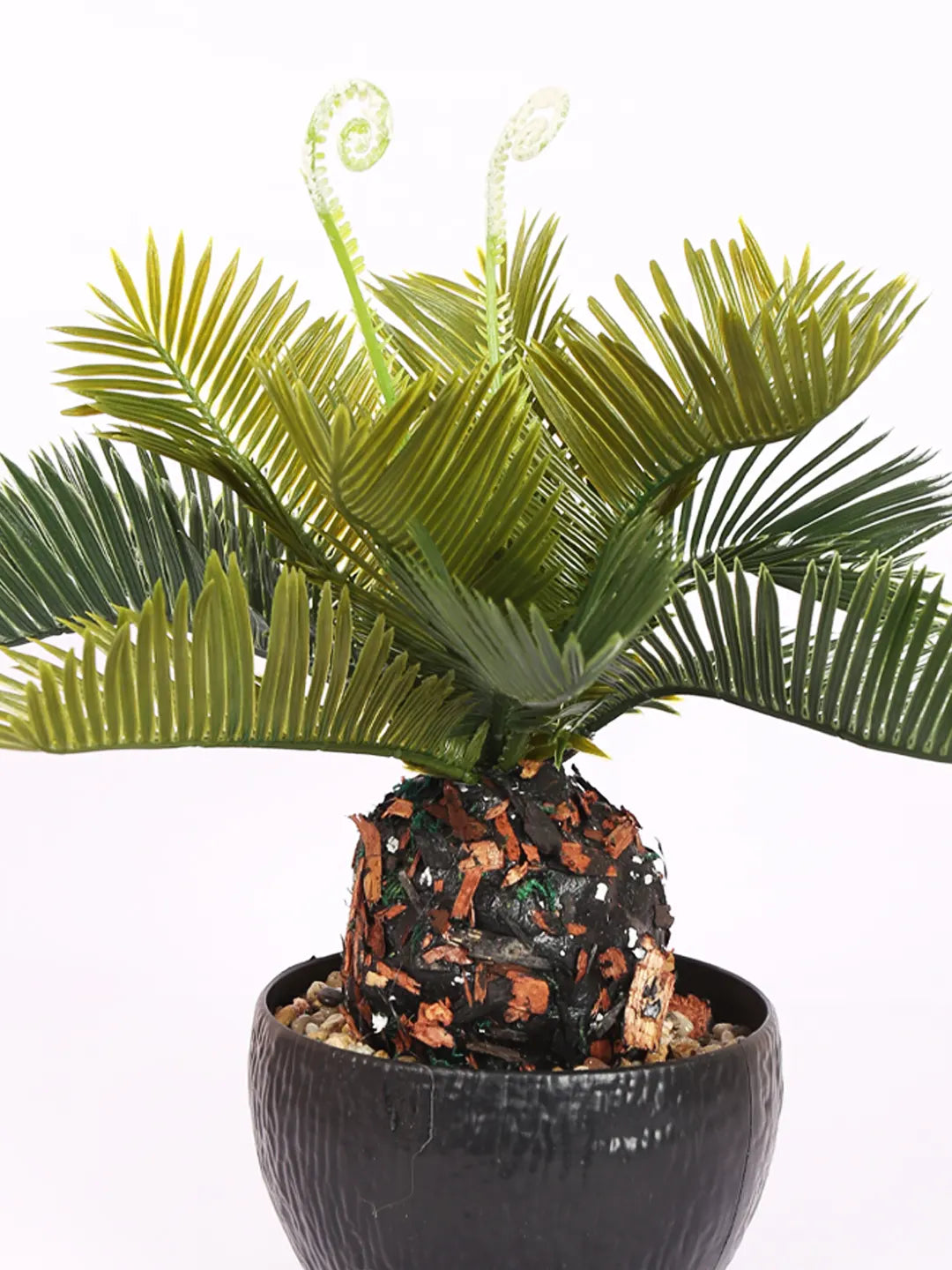 Artificial Cycas Plant - in  Plastic Pot (28 cm Tall, Green)